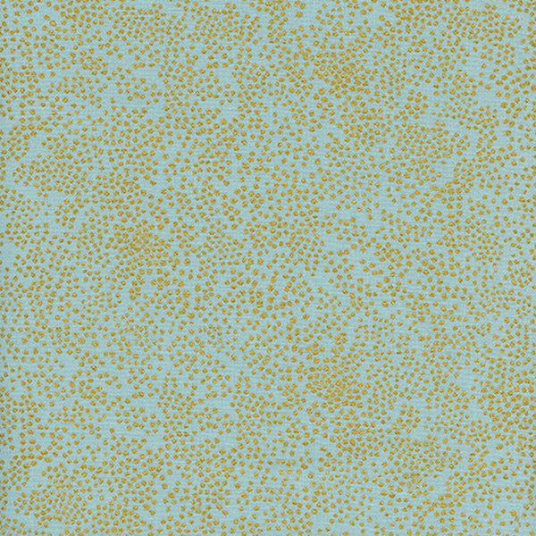 Boy's Bow Tie / Champagne Mint