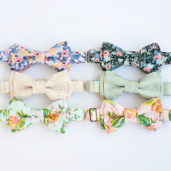 Boy's Bow Tie / Champagne Mint